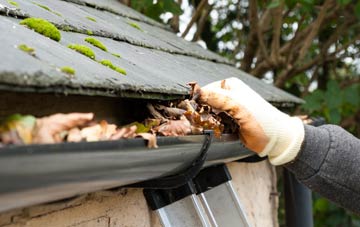 gutter cleaning Ormiston
