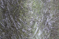 Ormiston fibreglass roof work